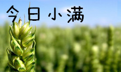 小满_副本.jpg