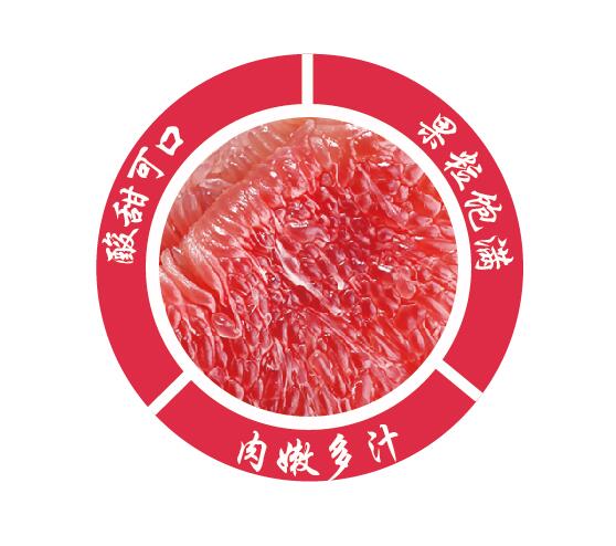 QQ截图20171116095756.jpg